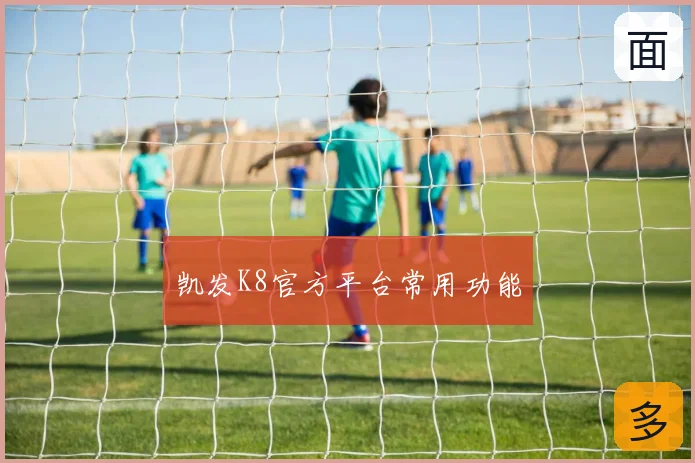 凯发K8官方平台常用功能